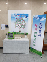 [NSP PHOTO]경산교육지원청, 전 직원 참여 청렴나무 키우기 행사 진행