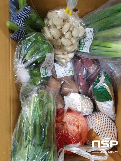 NSP통신- (전남교육청)