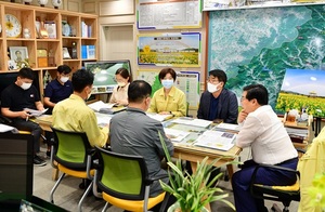 [NSP PHOTO]장성군, 황룡강 일대에 유채꽃 경관단지 조성