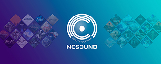 NSP통신- (엔씨소프트)