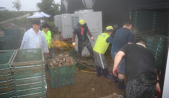 NSP통신-▲예산군 이장들이 침수 피해현황 파악 및 수해복구를 위해 적극 협력하고 있다. (예산군)