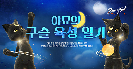 NSP통신- (엔씨소프트)