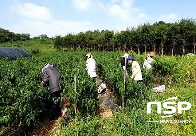 [NSP PHOTO]한국농수산대학, 집중호우 피해 농가 일손 돕기 실시