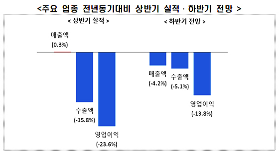 NSP통신-＊ 상반기 영업이익: 구체적 수치로 답변한 반도체, 자동차, 디스플레이 석유화학, 전자·IT 5개 업종 평균, 하반기 영업이익: 반도체, 자동차, 석유화학, 전자·IT 4개업종 평균. (전경련)