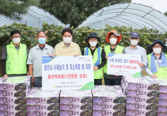 NSP통신-26일 백암면 포도 농가에서 백군기 용인시장(왼쪽 세번째)이 일손돕기 후 포도와 쌀을 기탁하는 NH농협 직원들과 기념촬영을 하고 있다. (용인시)