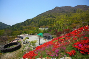 [NSP PHOTO]해남군, 4년 연속 친환경디자인상 선정 영예