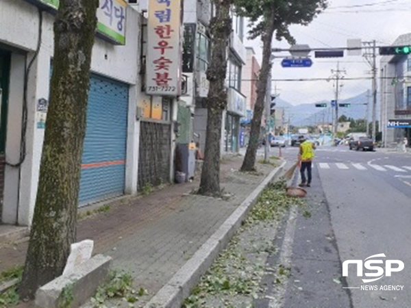 NSP통신-경주시 가로수 전정 작업 실시 모습. (경주시)