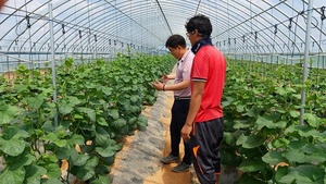 [NSP PHOTO]당진시, 학교급식 지역농산물 공급 확대