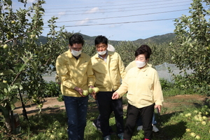 [NSP PHOTO]포항시의회, 태풍 피해 현장 찾아 응급 피해 복구에 힘 보태