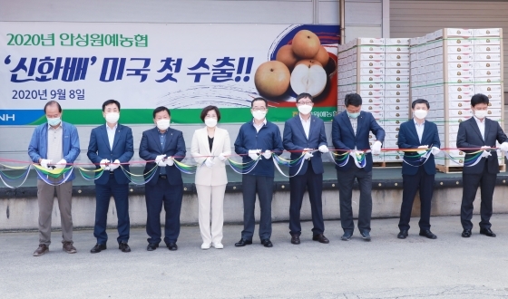 NSP통신-김보라 안성시장(왼쪽 네 번째)이 8일 안성마춤 농산물 산지유통센터에서 열린 신화배 미국 수출 선적식에 참석해 첫 수출시장 개척을 축하하며 관계자들과 테이프 커팅을 하고 있다. (안성시)