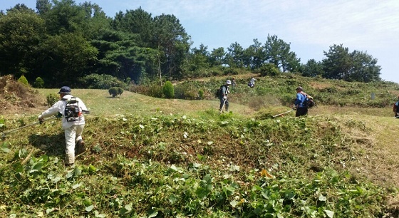 NSP통신-▲청양군이 군내 공동·공설묘지를 대상으로 일제정비에 나선다. (청양군)