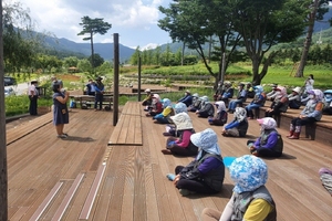 [NSP PHOTO]대한노인회 봉화군지회,  노인취업 재희망교육 실시