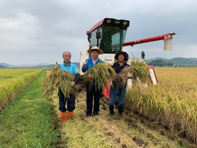 [NSP PHOTO]광양농협, 고품질 벼 첫 수확 하늘이 내린 광양쌀 햅쌀 출시