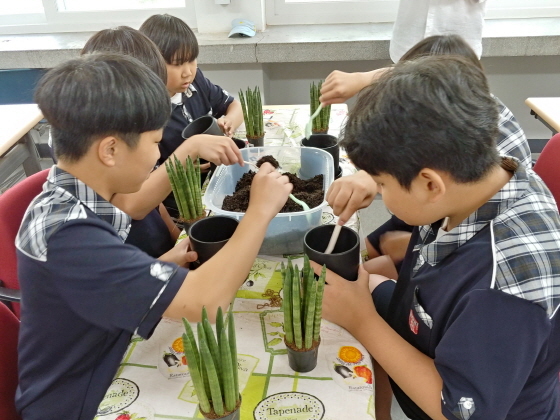 NSP통신-지난해 농업분야 진로직업 체험교육에 참여한 영신중학교 학생들이 반려식물 가꾸기 체험을 하고 있다. (수원시)