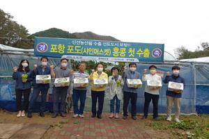 [NSP PHOTO]포항 고급 청포도 샤인머스켓 첫 수출길 올라