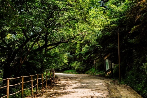 NSP통신-남한산성도립공원 탐방로. (경기도남한산성세계유산센터)