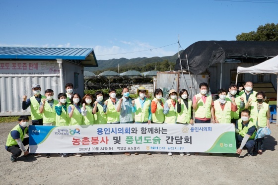 NSP통신-24일 처인구 백암면 정기헌 포도농가에서 용인시의원들과 의회사무국 직원들이 포도 수확작업을 함께 진행한 가운데 기념촬영을 하고 있다. (용인시의회)