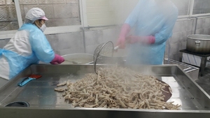 [NSP PHOTO]오성택 닭발 맛있게 매운 국물무뼈통뼈닭발 출시