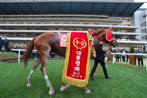 [NSP PHOTO]살아있는 한국경마 전설 트리플나인 경주로 떠난다