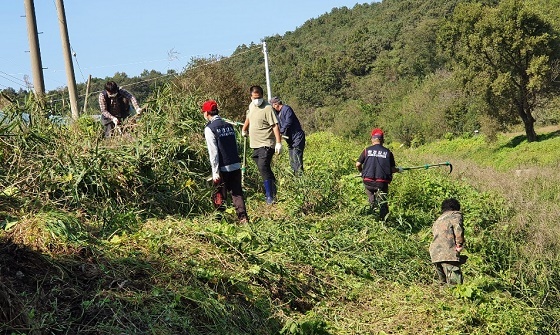 NSP통신-▲공주시가 가시박 일제 제거의 날 행사를 가졌다. (공주시)