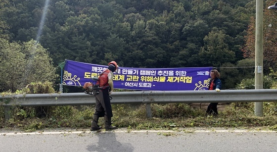 NSP통신-▲아산시가 배방읍 일대 생태계 교란 위해식물제거 작업을 실시했다. (아산시)