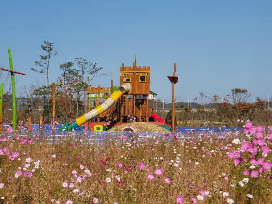 NSP통신-코스모스와 평화누리 모험놀이시설 모습. (경기도)