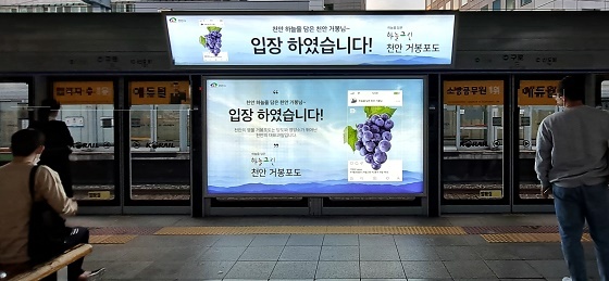 NSP통신-▲천안시가 천안 하늘그린 농·특산물을 알리기 위해 홍보마케팅에 나섰다. (천안시)