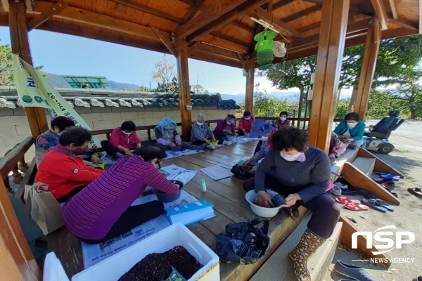 NSP통신-경북 청도군이 코로나19로 우울감과 생활의 활기가 저하된 어르신들을 위해 마음 토닥토닥 다육이 키우리 프로그램을 내달 6일 운영한다 (청도군)