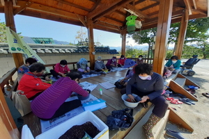 [NSP PHOTO]청도군, 어르신 우울감 해소 마음 토닥토닥  다육이 키우기 운영