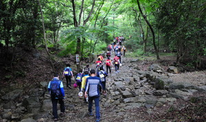 [NSP PHOTO]진도군 첨찰산, 걷고 싶은 전남 숲길 최우수상 수상