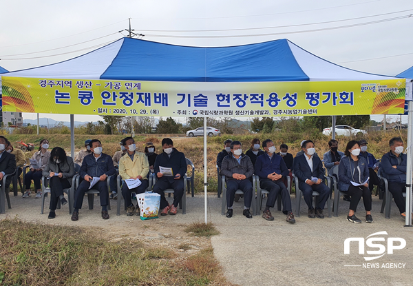 NSP통신-경주시 순두부용 콩 안정재배 기술에 대한 현장평가회 실시모습. (경주시)