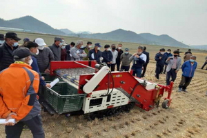 [NSP PHOTO]안동시농업기술센터, 시금치 수확기 공개성능평가 및 시연회 개최