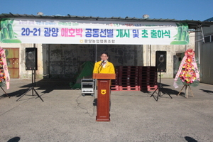 [NSP PHOTO]광양농협, 광양애호박 공동선별로 농가소득 증대 총력