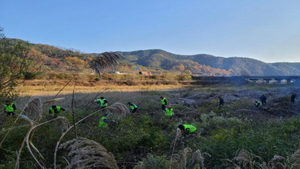 [NSP PHOTO]봉화군 춘양면 노인일자리, 지역 환경정화 구슬땀