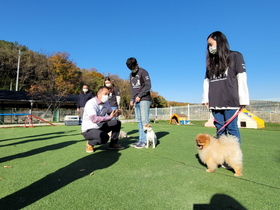 [NSP PHOTO]둥글개봉사단, 호산나대학 학생들과 동물교감 레크레이션 치유 진행