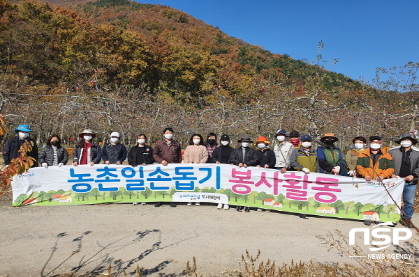 NSP통신-포항시청 도시해양국 직원 20명은 가을 수확기를 맞아 일손이 부족한 농가를 돕기 위해 12일 포항시 북구 기북면 오덕리 소재 농가를 찾아 사과따기 농촌 일손돕기 봉사활동을 펼쳤다 (포항시)