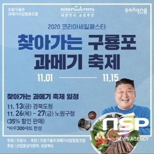 NSP통신- (포항시)