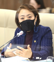 [NSP PHOTO]안혜영 경기도의원, 재정 건정성 확보 방안 주문