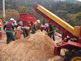 [NSP PHOTO]곡성군, 공공산림 가꾸기 사업단 농업용 톱밥 공급