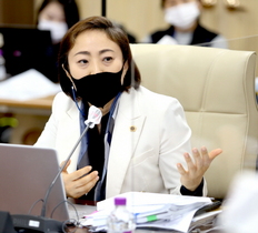 [NSP PHOTO]안혜영 경기도의원, 경제위기극복 새로운경기 공정한세상 정책사업 촉구