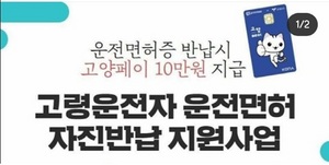 [NSP PHOTO]고양시, 운전면허증 반납 고령운전자 2891명에 10만원 고양페이 지급완료