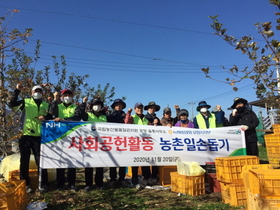 [NSP PHOTO]농협포항시지부,  농관원포항·울릉사무소와 농촌일손돕기 나서