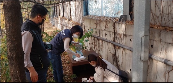 NSP통신-박미효 서울시 서초구의원이 길고양이 급식소를 설치하고 있다. (박미효 의원실)
