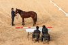 [NSP PHOTO]한국마사회, 코로나19 극복 승마대회주간 운영