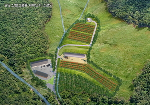 [NSP PHOTO]광양시, 복분자 산림신품종 재배단지 설계 완료
