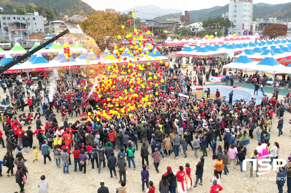 NSP통신-청송군은 지난 26일 한국경제신문이 주최·주관하는 2020 한국의 축제(Festivals in Korea) 캠페인 우수 지역축제 20선에 청송사과축제가 선정됐다고 밝혔다. (청송군)