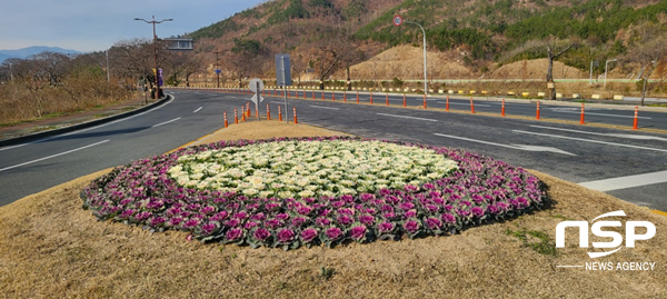 NSP통신-경주시 겨울철 꽃 화단 조성 모습. (경주시)