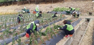 [NSP PHOTO]성남시, 녹지·산림 분야 기간제 근로자 채용…일자리 창출