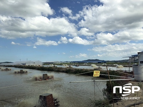 [NSP PHOTO]정읍시, 겨울철 저수온·한파 대비 양식장 관리 당부