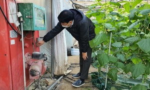 [NSP PHOTO]서천군, 동절기 대비 농작물·영농시설 안전관리 당부